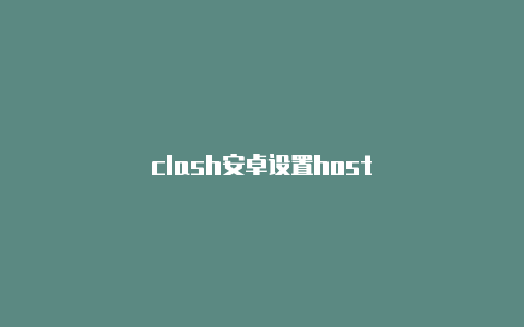 clash安卓设置host